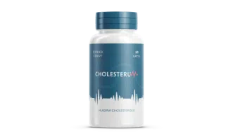 Cholesterum na cholesterol – recenze