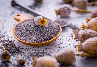 Organic poppy seeds in small bowl with poppy heads